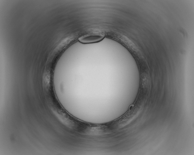 X0000112490072200908311440