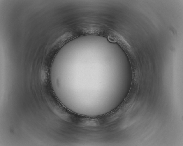 X0000112490073200908311440