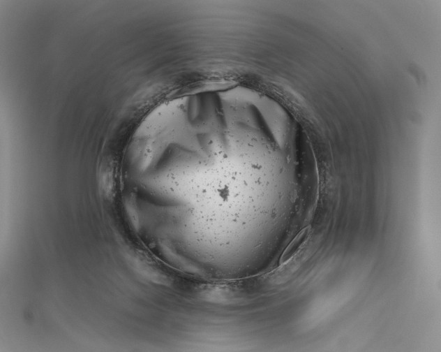 X0000112490074200908311440