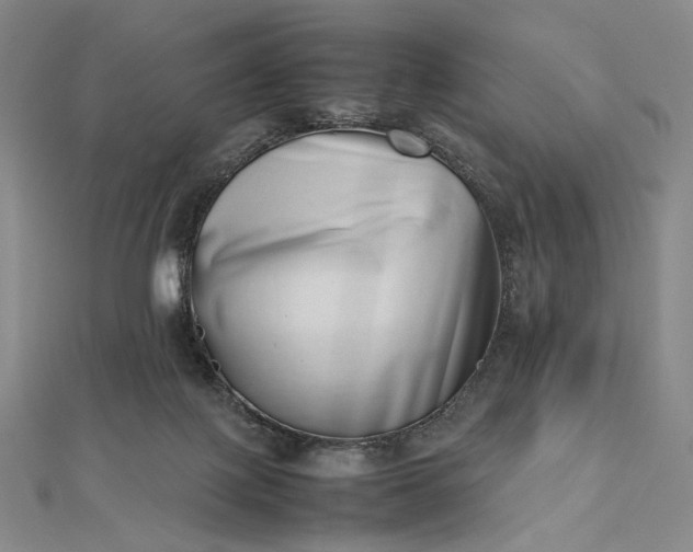 X0000112490075200908311440