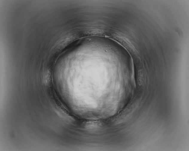 X0000112490077200908311440