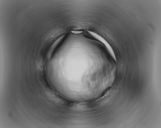 X0000112490078200908311440