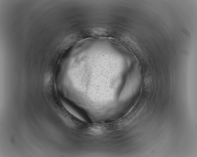 X0000112490079200908311440