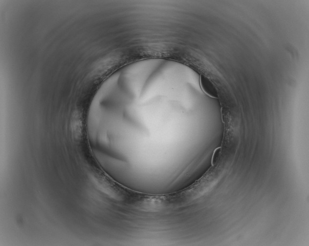 X0000112490080200908311440