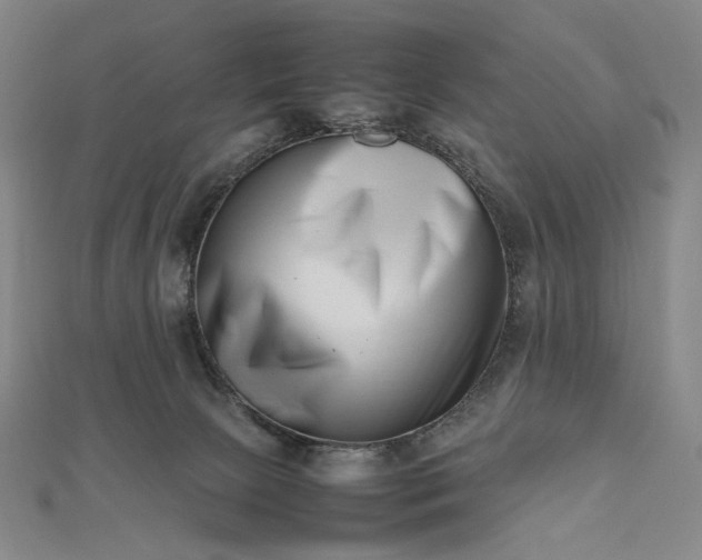 X0000112490081200908311440