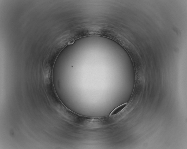 X0000112490082200908311440