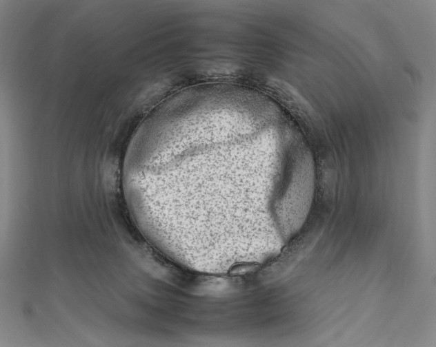 X0000112490083200908311440