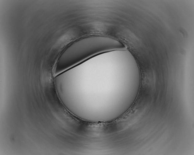 X0000112490084200908311440