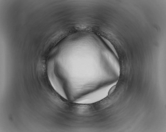 X0000112490085200908311440