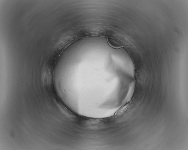 X0000112490086200908311440