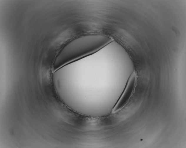 X0000112490088200908311440