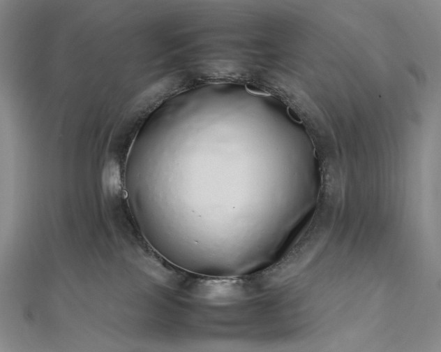 X0000112490089200908311440