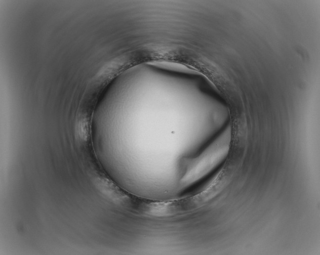 X0000112490090200908311440