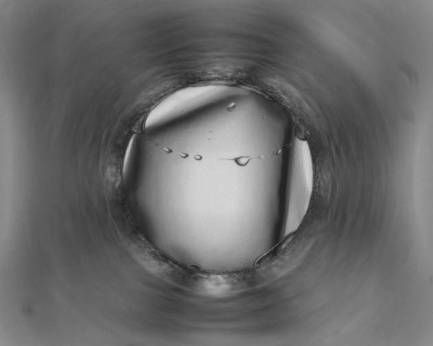 X0000112490091200908311440