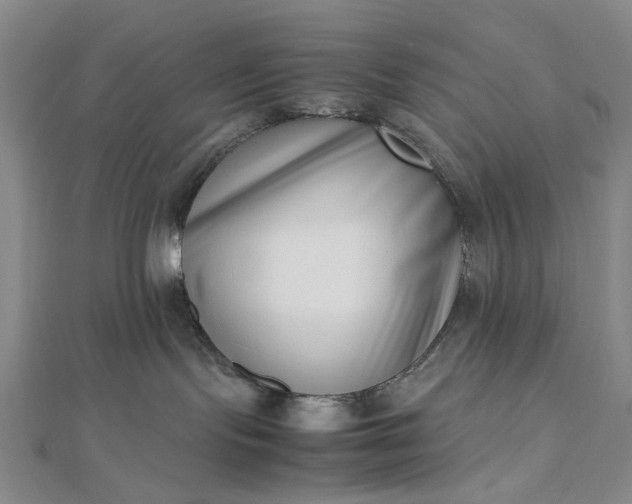 X0000112490095200908311440