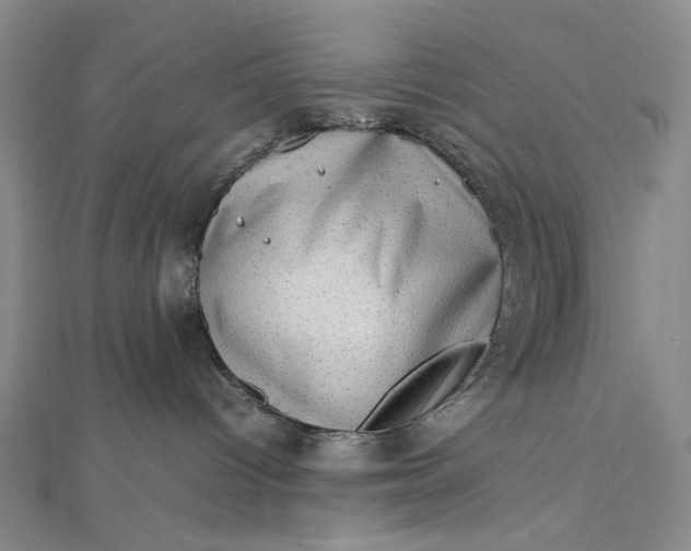 X0000112490096200908311440