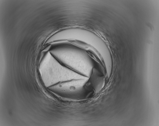 X0000112490097200908311440