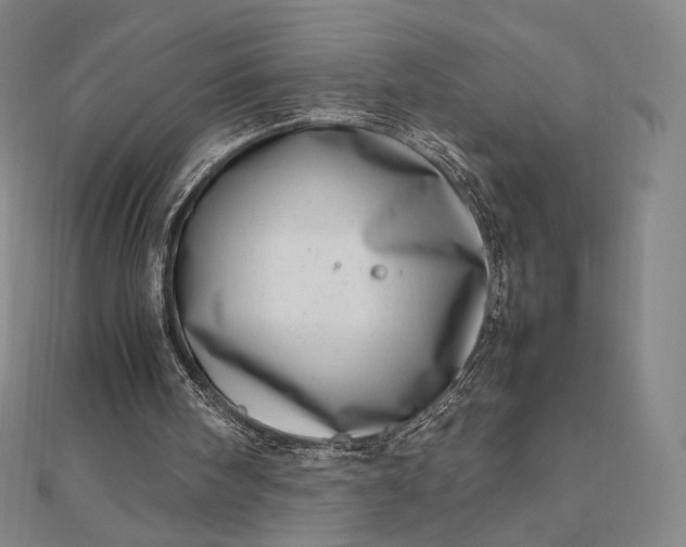 X0000112490098200908311440