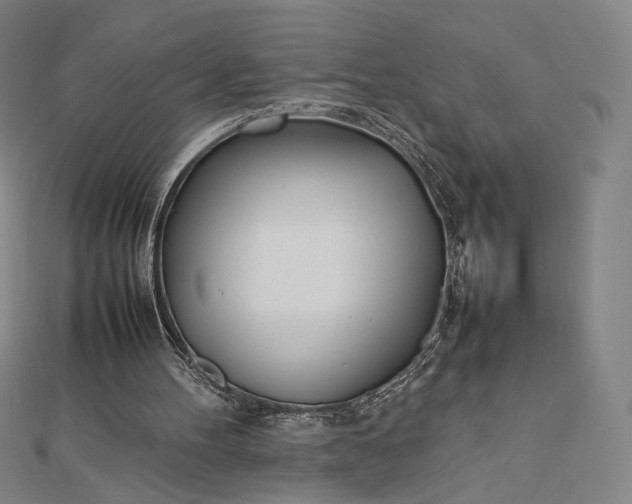 X0000112490100200908311440