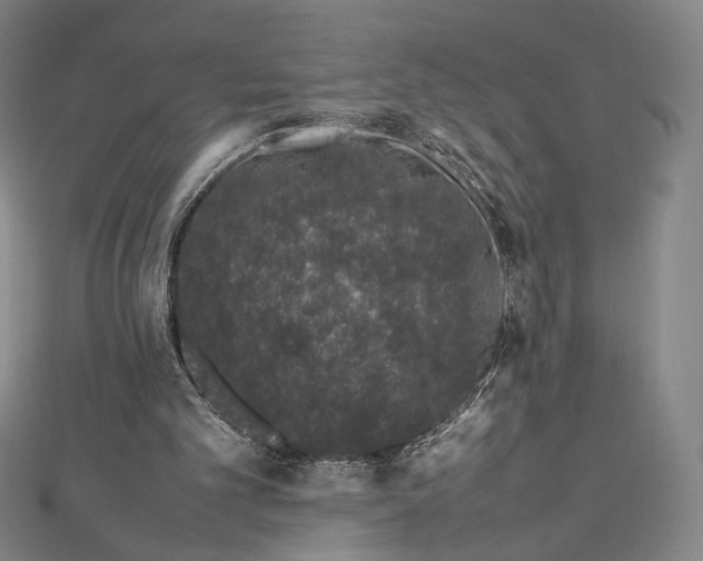 X0000112490101200908311440