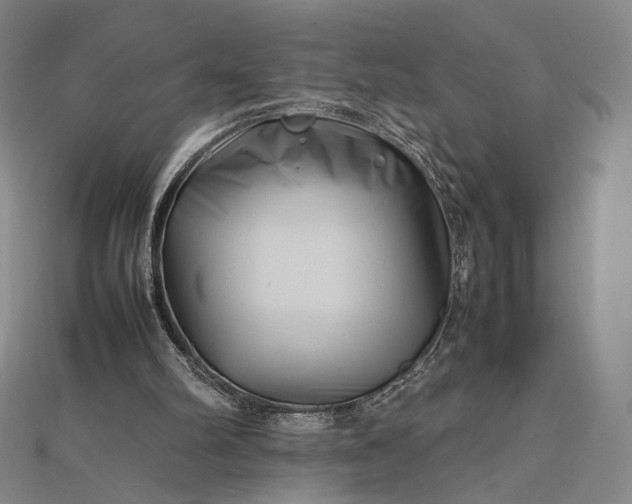 X0000112490102200908311440