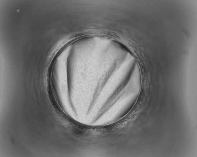 X0000112490103200908311440