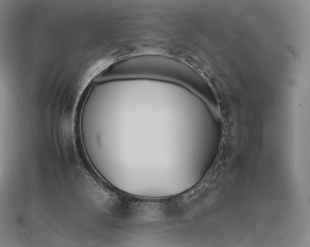 X0000112490104200908311440