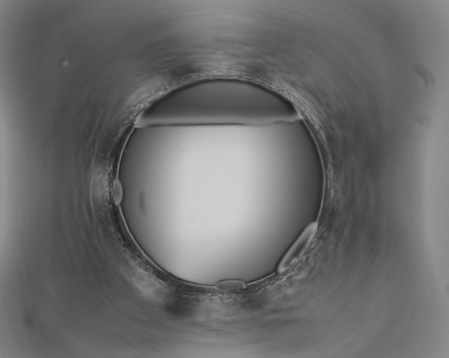 X0000112490105200908311440