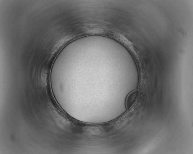 X0000112490106200908311440