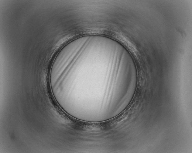 X0000112490107200908311440