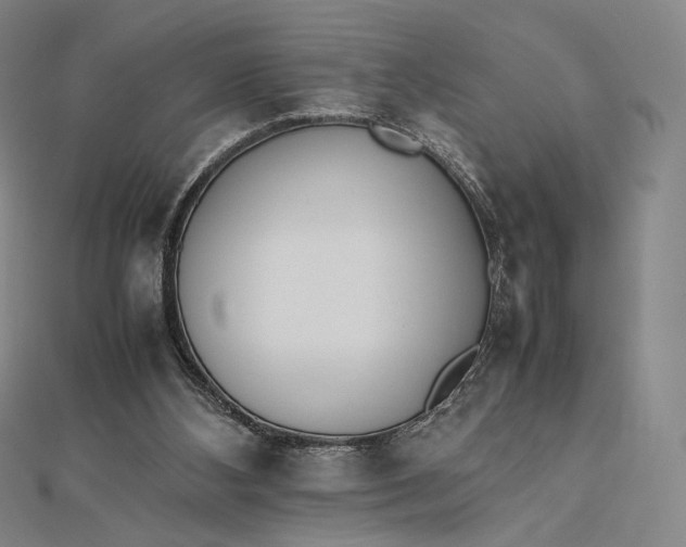 X0000112490108200908311440