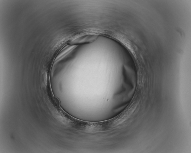 X0000112490109200908311440