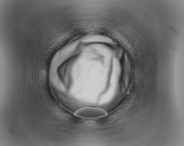 X0000112490113200908311440