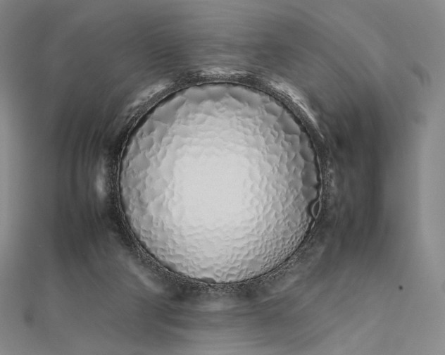 X0000112490114200908311440