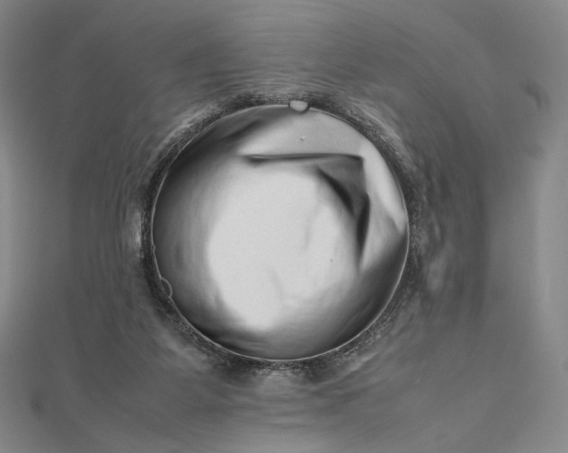 X0000112490115200908311440