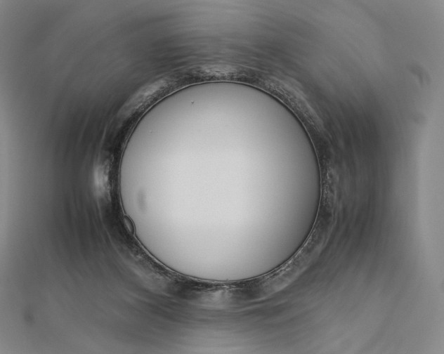 X0000112490116200908311440