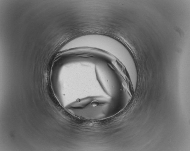 X0000112490117200908311440