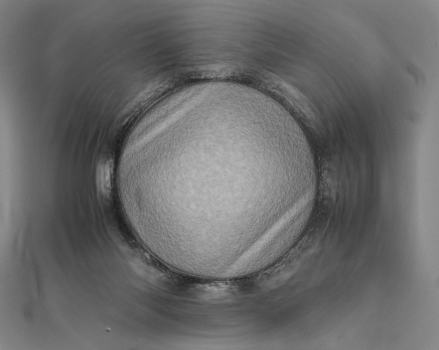 X0000112490118200908311440