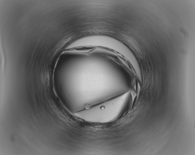 X0000112490120200908311440