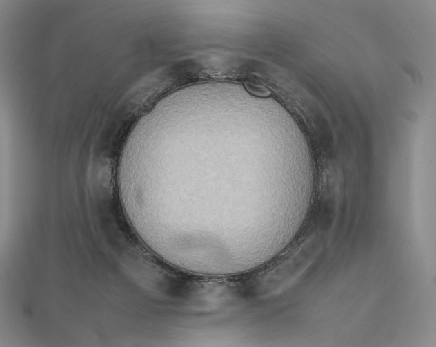 X0000112490121200908311440