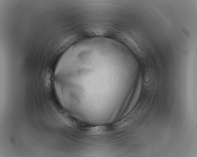 X0000112490122200908311440