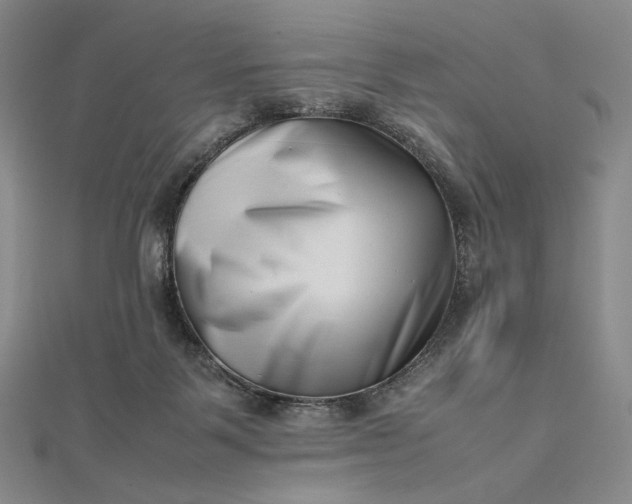 X0000112490123200908311440