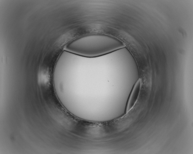 X0000112490124200908311440