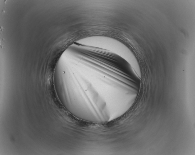 X0000112490125200908311440