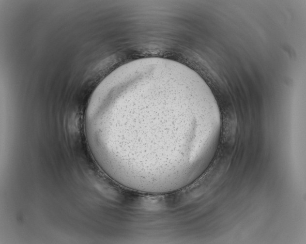 X0000112490126200908311439