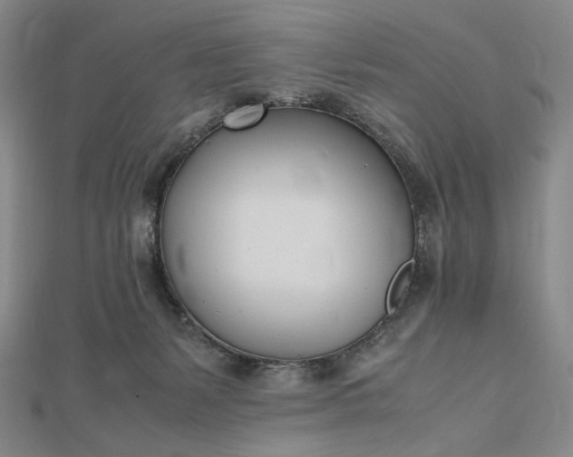 X0000112490127200908311439