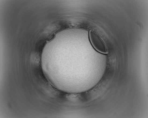 X0000112490129200908311439