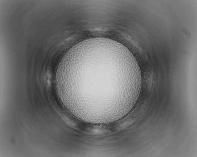 X0000112490130200908311439