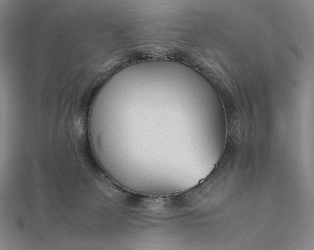 X0000112490131200908311439