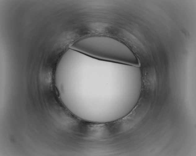 X0000112490132200908311439